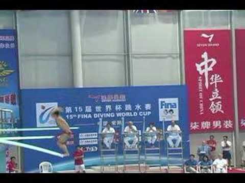 2006 world cup chong he 407c 3m