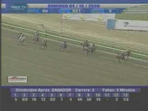 Resumen domingo 4 de Octubre La Rinconada