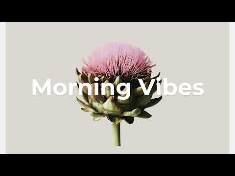Morning Clarity Mix ☕ Chill Electronica for Study, Work & Focus