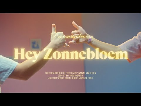 Hey Zonnebloem- Droomsindroom (Official Music Video)