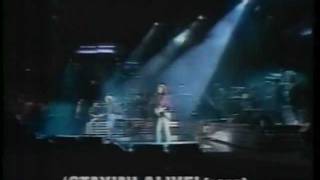 1 Bee Gees México TV 1993 (Intro)