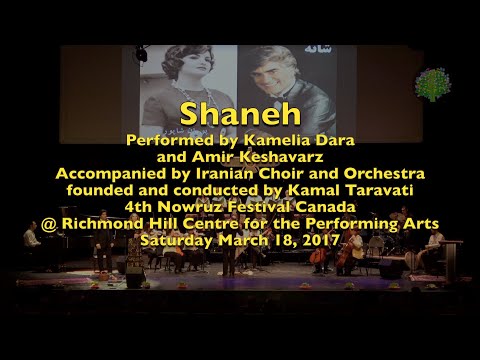 Shaneh - NFC 4