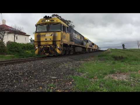 NR1,NR105,8202,NR53 works 3YN2 through Amaroo