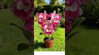 14 de março de 2026