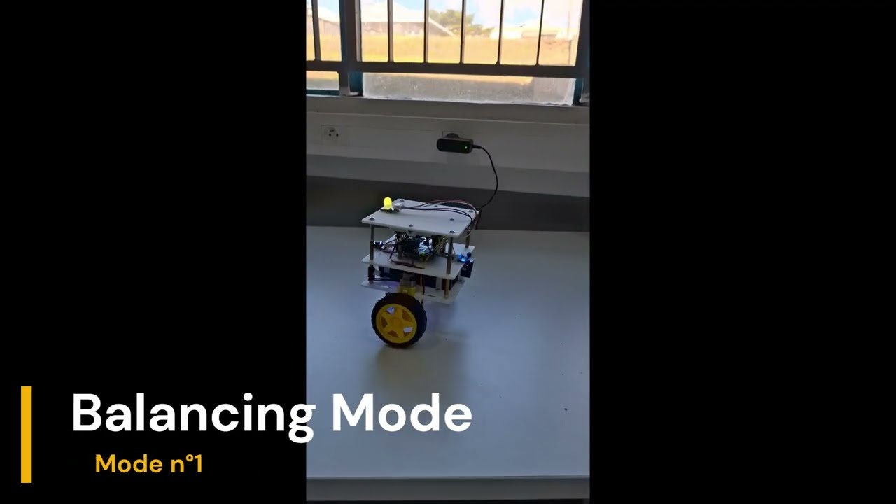 Self-Balancing Robot Demo