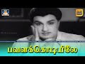 Pavalakodiyile Video Song HD பவளக்கொடியிலே Song Panam Padaithavan M G R K 