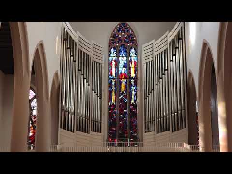 Louis Vierne: Symphonie Nr. 1 op. 14 - VI. Final (St. Martin, Freiburg)