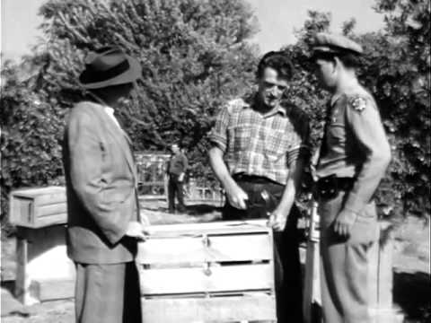 Highway Patrol 135 in Hitchhiker2