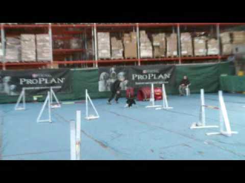 Minn 2. WC Korneuburg 2009 J Open
