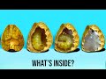 What Lives Inside Mexican Jumping Beans? | Weird Nature | growithjessie