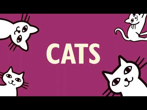 Proper Food for Cats | Lily's Kitchen