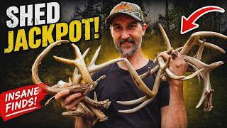 2026 Deer Shed Season Pennsylvania - HOW I FOUND THEM The Good, The Bad & The Ugly  GODZILLA UPDATE