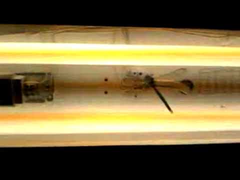 Sarukas - Hypnotized