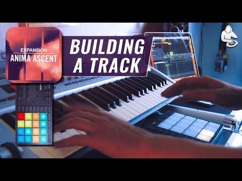 BUILDING A POP HIT with the Anima Ascent Expansion | Maschine Mikro MK3