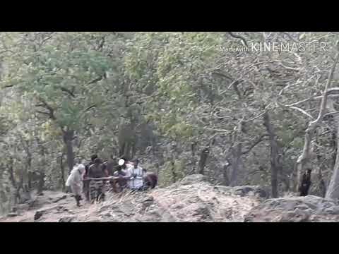 Tungi gramathanche aathak prayatna(2)