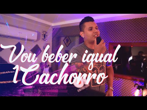 Vou beber igual um cachorro - VibeTop FORRÓ PISEIRO 2021