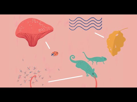 [Vibo4Kids]The Other Way