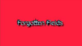 Forgotten Fields (Orchestral)