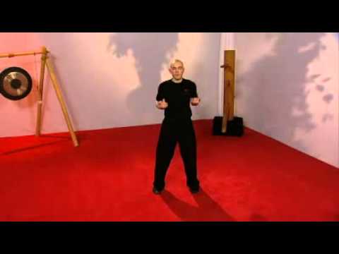 Leung Ting Wing Chun - Siu Nim Tao Form - Satz 5-8