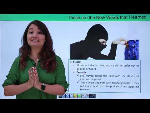 These are the New Words that I Learned