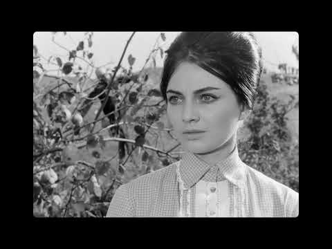 Трейлър #1