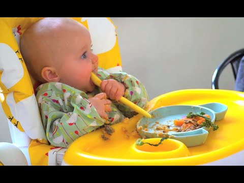 Baby-Led Weaning Recipes Video