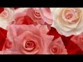 Anniversary Song - GIOVANNI MARRADI ( HD ...