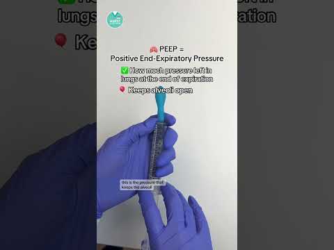 🫁 Basic Ventilator Settings