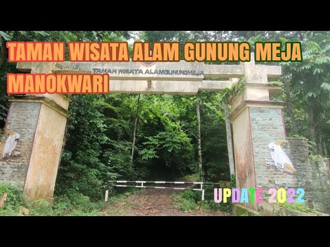 Taman Wisata Alam Hutan Gunung Meja Manokwari ll Eksplore Manokwari