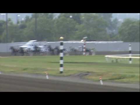 AHDC 2010 Spring Pacing Final