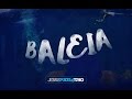 BALEIA Jesse Pedra Trio AO VIVO