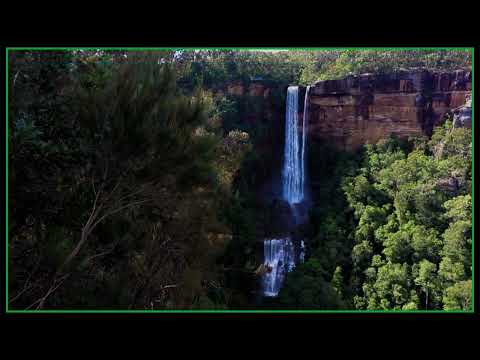 2020-08-19   Fitzroy Falls (Morton N.P.)