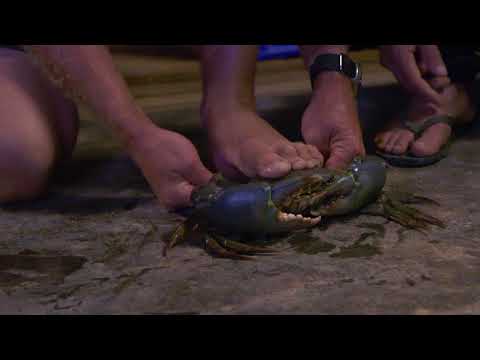 BCF All 4 Adventure Camping Hacks - Crab tie