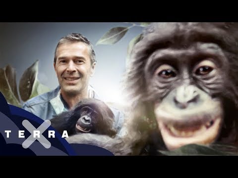 Mikrobnaja das Ekzem der Salbe Nejrodermit auf dem Gebiet der Augen