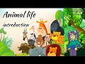 Animal life | introduction. videos for kids nursing Raymes