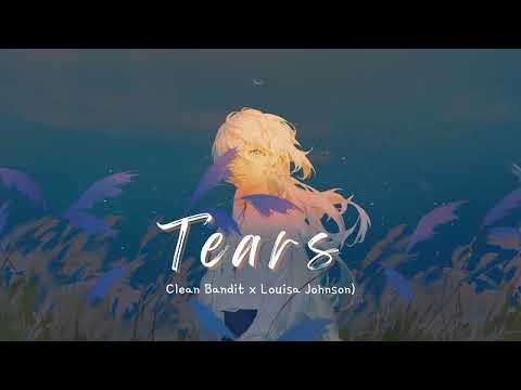 Vietsub | Tears - Clean Bandit, Louisa Johnson | Lyrics Video