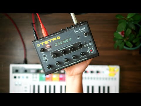 Dave Smith TETRA // The Tiniest 4 Voice Analog Poly Synth! [ Ep. 19 ]