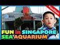 Kids Travel Vlog Visiting Sea Aquarium In Sentosa Island Singapore With Nate And Kate