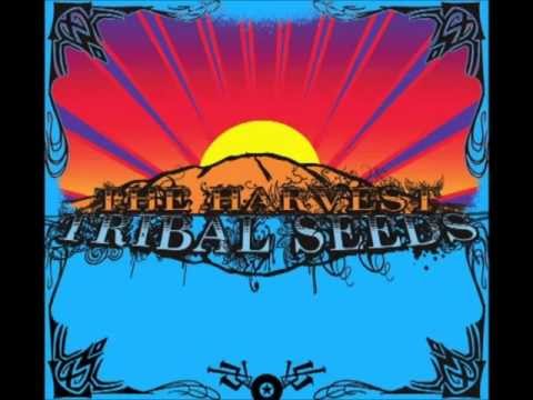 Tribal Seeds - The Garden