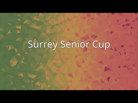 Surrey Senior Cup