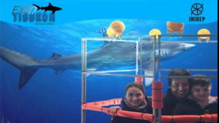 DIA 2 Expo Tiburon263