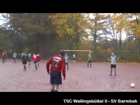 TSC Wellingsbüttel II - SV Barmbek 1:1 (1:0)