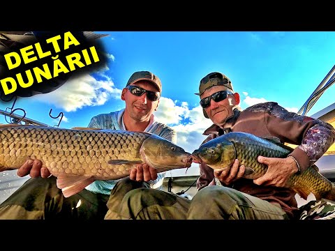 Monștri din Delta Dunării | Cea mai tare partidă la crap din viața mea | 24h cu Tata