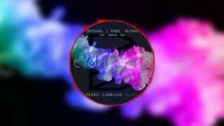 Tritonal & Paris Blohm ft. Sterling Fox - Colors (Pedro Carrilho Remix)