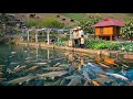 Pertanian Modern Tanpa Jaringan Listrik 2026 Kebun Buah Surga Bunga Kolam Ikan Berkelanjutan