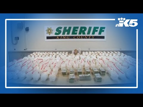 King County just made its largest drug bust ever