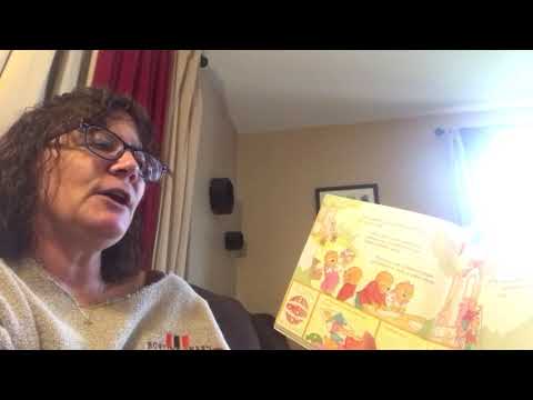 The Berenstain Bears Fly-It.