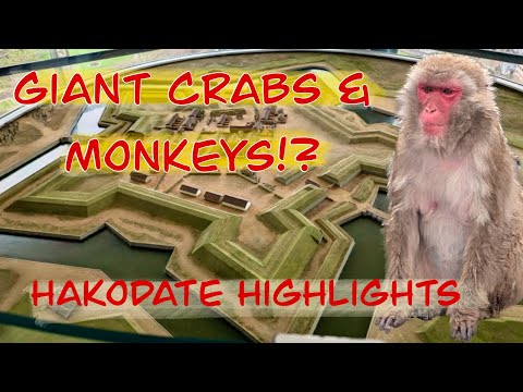 Thumbnail for Hakodate, Japan Cruise Port: What to Do, Eat & See in Just One Day!