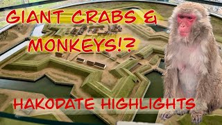 Hakodate, Japan Cruise Port: What to Do, Eat & See in Just One Day!