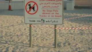 preview picture of video 'Jumeirah Beach, DUBAI, UAE'